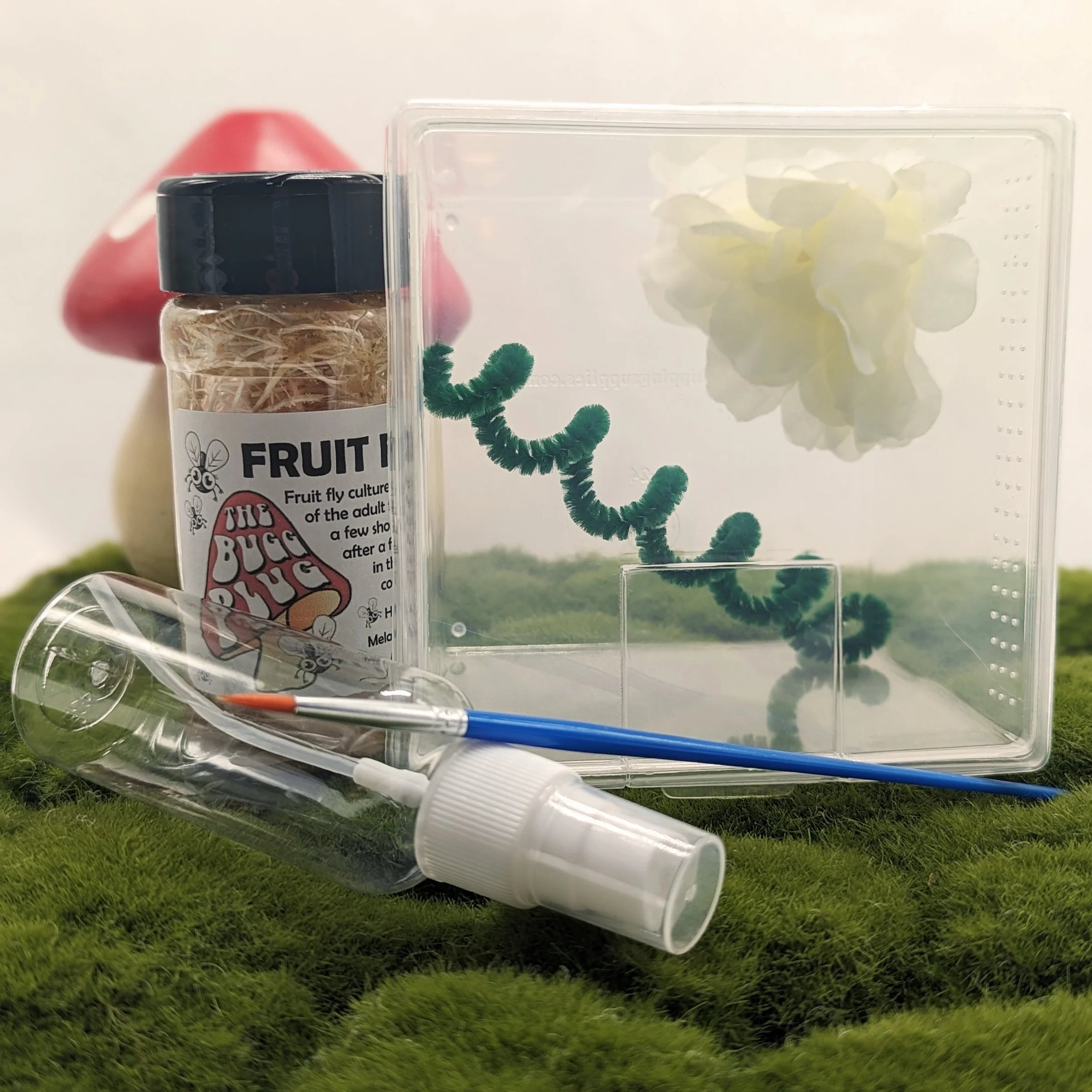 Deluxe Jumping Spider Kit – Small Studio Edition