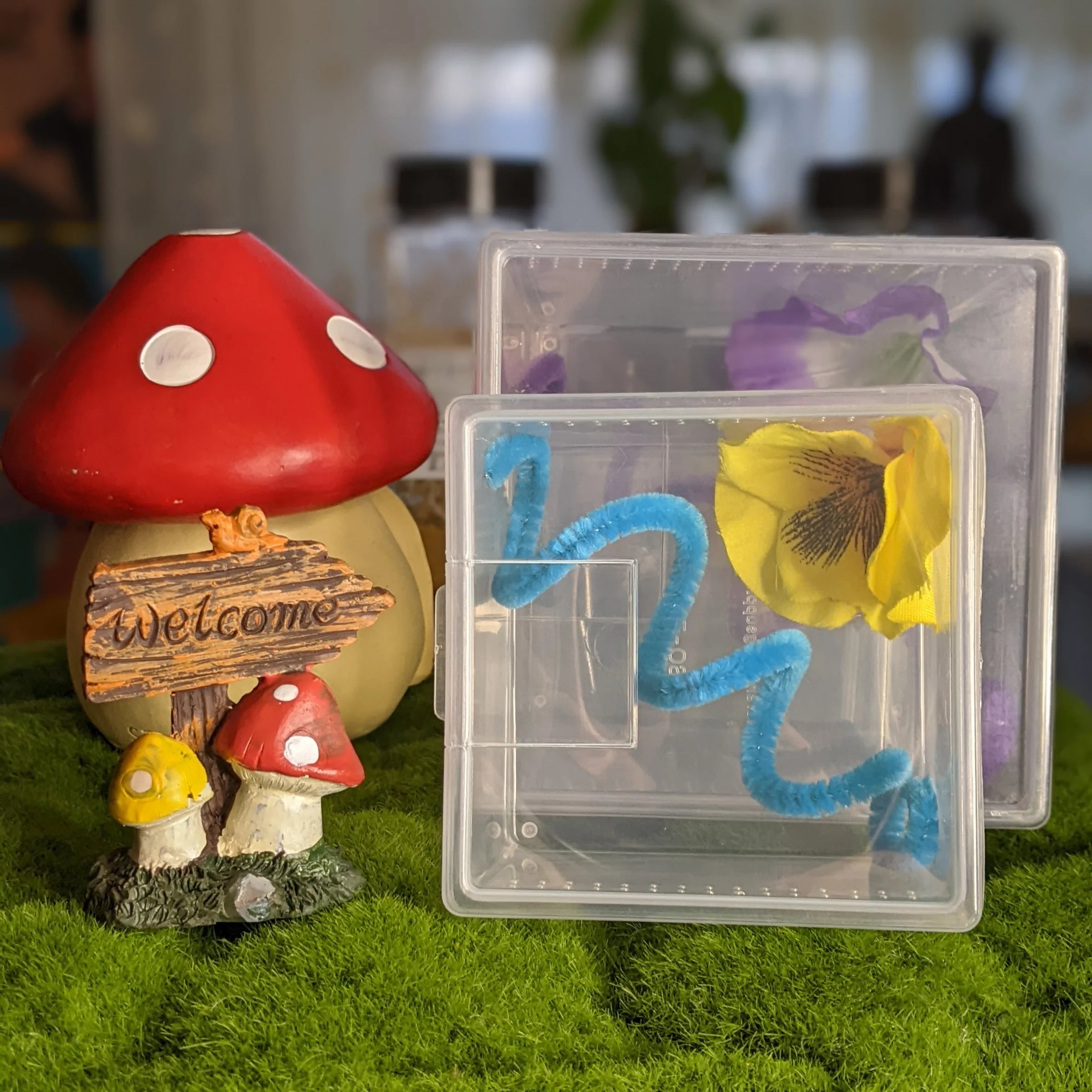 Deluxe Jumping Spider Kit – Small Studio Edition