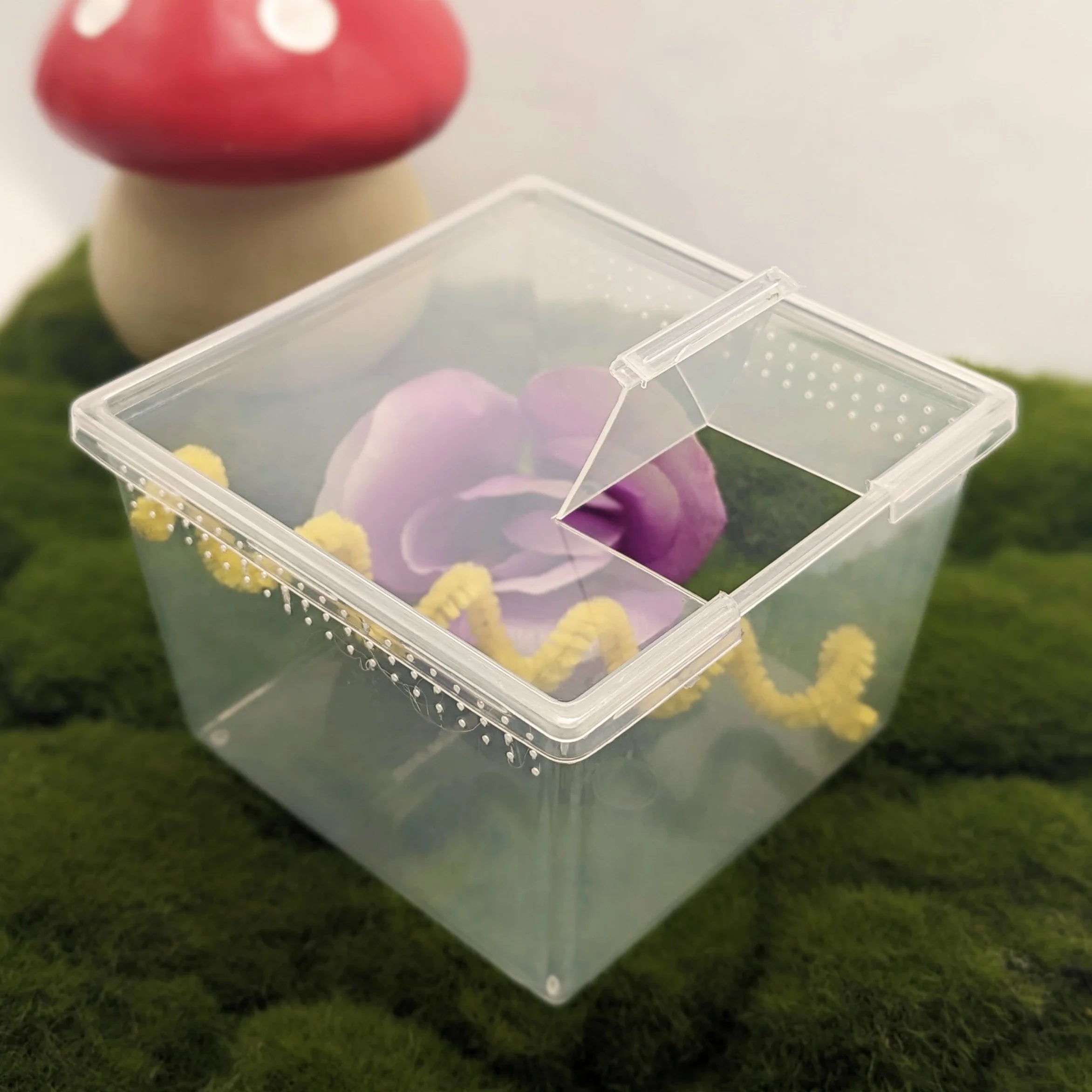 Deluxe Jumping Spider Kit – Small Studio Edition