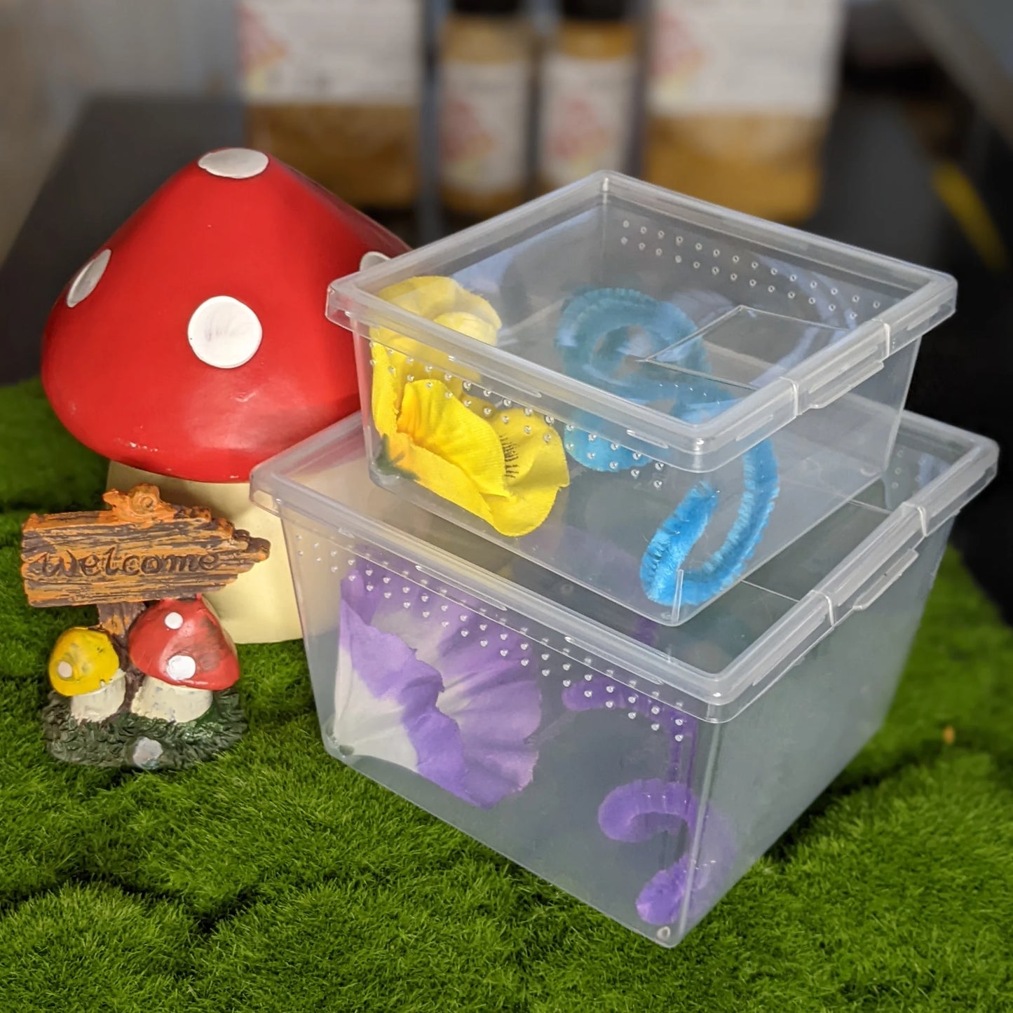 Deluxe Jumping Spider Kit – XL Studio Edition