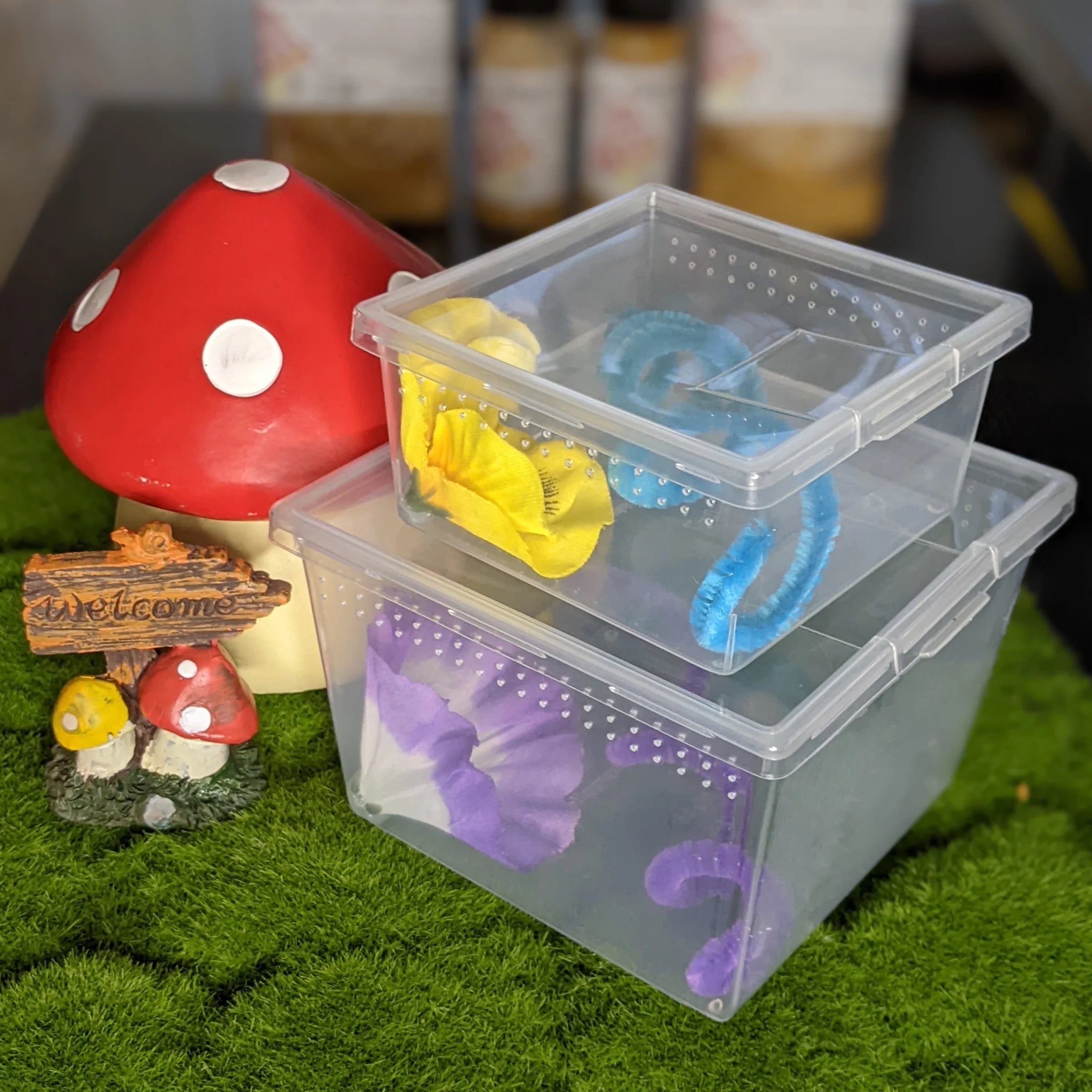 Deluxe Jumping Spider Kit – Small Studio Edition