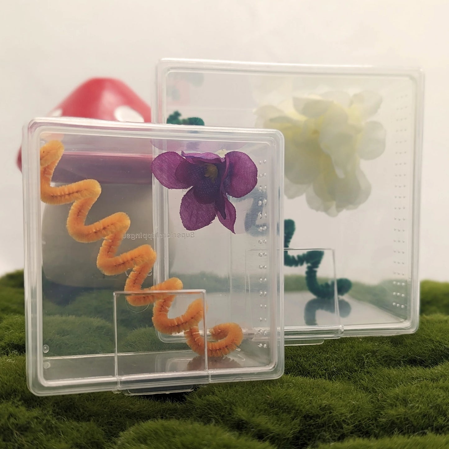 Deluxe Jumping Spider Kit – XL Studio Edition
