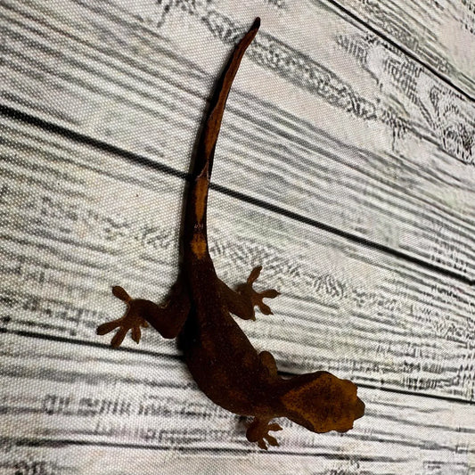 Uroplatus fimbriatus ssp. (Patternless Sarasinorum Gecko) – “Caramelo Line” #2